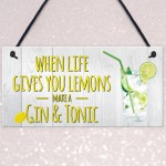 Life Gives You Lemons Make Gin & Tonic Novelty Hanging Plaque