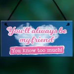 You'll Always Be My Friend Friendship Gift Hanging Plaque Sign