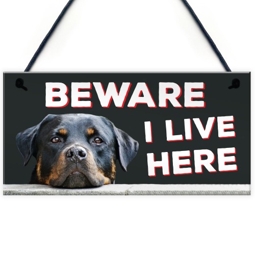 Beware I Live Here Rottweiler Hanging Plaque