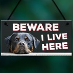 Beware I Live Here Rottweiler Hanging Plaque