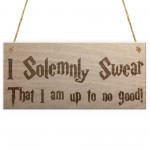Solemnly Swear No Good Wizardry Hanging Plaque