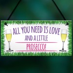  All You Need Is Love And Prosecco Alcohol Hanging Plaque