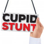 Cupid Stunt Funny Man Cave, Home Bar, Shed, Pub Hanging Plaque
