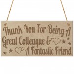 Great Colleague Fantastic Friend Friendship Gift Hanging Plaque