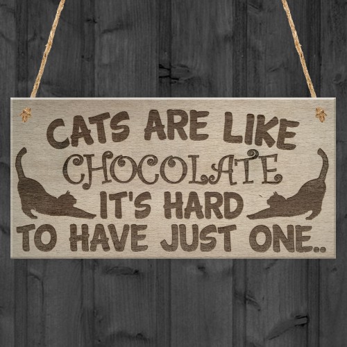 Cats Are Like Chocolate Funny Pet Diet Gift Wood Hanging Plaque