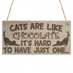 Cats Are Like Chocolate Funny Pet Diet Gift Wood Hanging Plaque