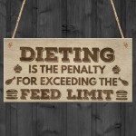 Dieting Feed Limit Funny Weigt Loss Friendship Hanging Plaque 