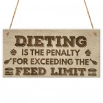Dieting Feed Limit Funny Weigt Loss Friendship Hanging Plaque 