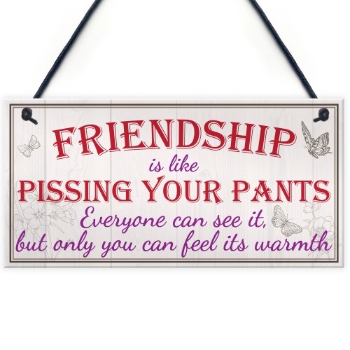 Friendship Pants Best Friend Gift Thank You Funny Hanging Plaque