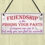 Friendship Pants Best Friend Gift Thank You Funny Hanging Plaque