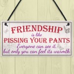 Friendship Pants Best Friend Gift Thank You Funny Hanging Plaque