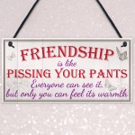 Friendship Pants Best Friend Gift Thank You Funny Hanging Plaque