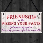 Friendship Pants Best Friend Gift Thank You Funny Hanging Plaque