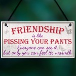 Friendship Pants Best Friend Gift Thank You Funny Hanging Plaque