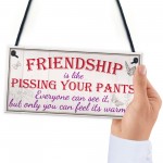 Friendship Pants Best Friend Gift Thank You Funny Hanging Plaque