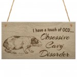 OCD Guinea Pig Cavy Lover Funny Hutch Friendship Hanging Plaque