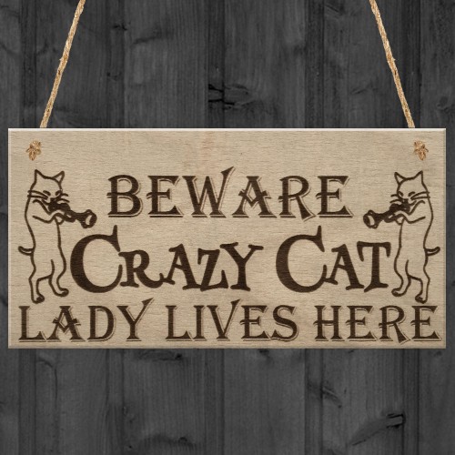 Crazy Cat Lady Cute Funny Gift Idea Animal Lover Hanging Plaque