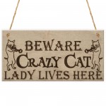 Crazy Cat Lady Cute Funny Gift Idea Animal Lover Hanging Plaque