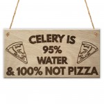 Celery Not Pizza Funny Friendship Weight Loss Hanging Plaque