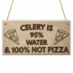 Celery Not Pizza Funny Friendship Weight Loss Hanging Plaque