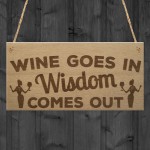 Wine In Wisdom Out Funny Friendship Best Friend Hanging Plaque