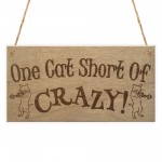 Cat Short Of Crazy Funny Kitten Cat Friendship Hanging Plaque 