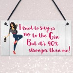 Gin 40% Stronger Funny Alcohol G&T Friendship Hanging Plaque 