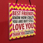 Best Friends Crazy Christmas Home Friendship Gift Hanging Plaque