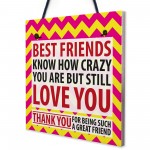 Best Friends Crazy Christmas Home Friendship Gift Hanging Plaque