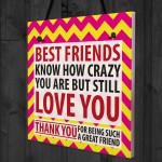 Best Friends Crazy Christmas Home Friendship Gift Hanging Plaque