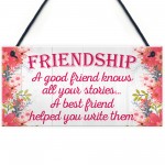 Friendship Stories Funny Best Friend Love Gift Hanging Plaque