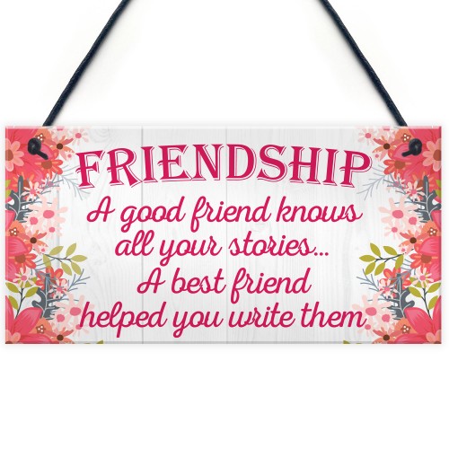 Friendship Stories Funny Best Friend Love Gift Hanging Plaque