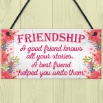 Friendship Stories Funny Best Friend Love Gift Hanging Plaque