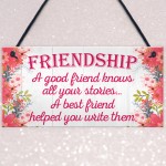 Friendship Stories Funny Best Friend Love Gift Hanging Plaque