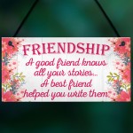 Friendship Stories Funny Best Friend Love Gift Hanging Plaque