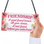 Friendship Stories Funny Best Friend Love Gift Hanging Plaque