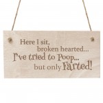 Funny Joke Engraved Wooden Toilet Bathroom Wall Sign Plaque