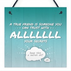 Trust With All Your Secrets Hanging Plaque Friendship Sign Gifts