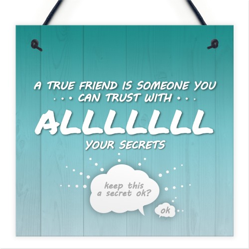 Trust With All Your Secrets Hanging Plaque Friendship Sign Gifts