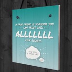 Trust With All Your Secrets Hanging Plaque Friendship Sign Gifts