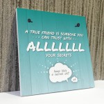 Trust With All Your Secrets Hanging Plaque Friendship Sign Gifts