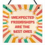 Best Friend Unexpected Friendships Sign Colourful Love Plaque 