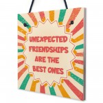 Best Friend Unexpected Friendships Sign Colourful Love Plaque 