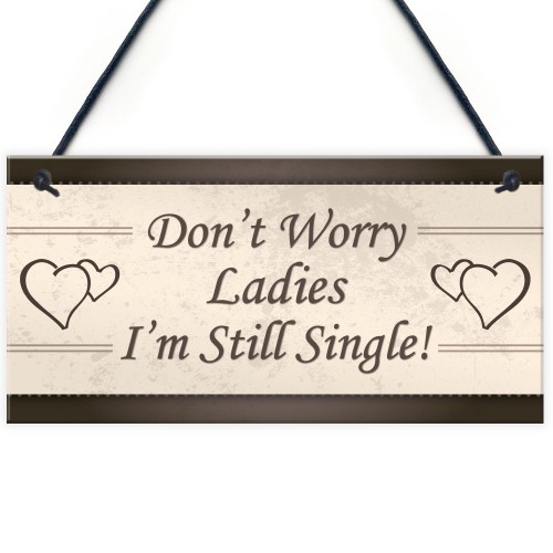 Wedding Don't Worry Ladies Hanging Plaque Page Boy Best Man Prop