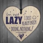 I'm Not Lazy Funny Hanging Heart Doing Nothing Novelty Gift Idea