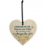 Best Colleague Hanging Heart Plaque Work Present FRIEND Sign