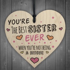 Best Sister Wooden Heart Friendship Plaques Funny Birthday Gifts