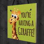 You're Having A Giraffe Plaque Funny Friendship Gifts Birthday 