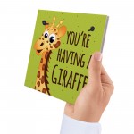 You're Having A Giraffe Plaque Funny Friendship Gifts Birthday 