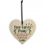 Your Farts Pong Happy Birthday Funny Card Wooden Hanging Sign